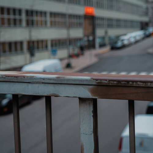 en gata i stockholm