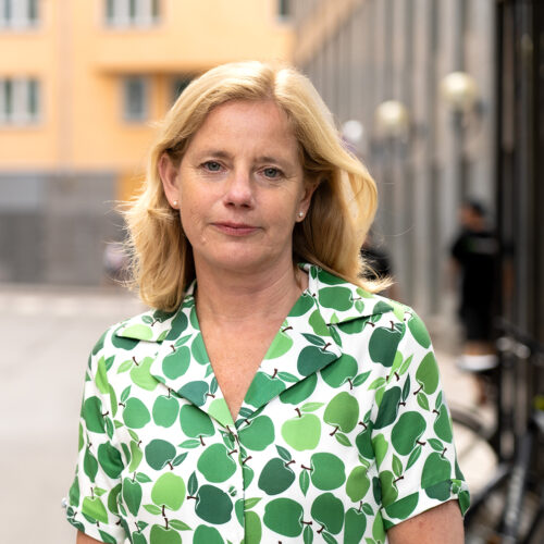 Marika Hjelm Siegwald, Sveriges stadsmissioner